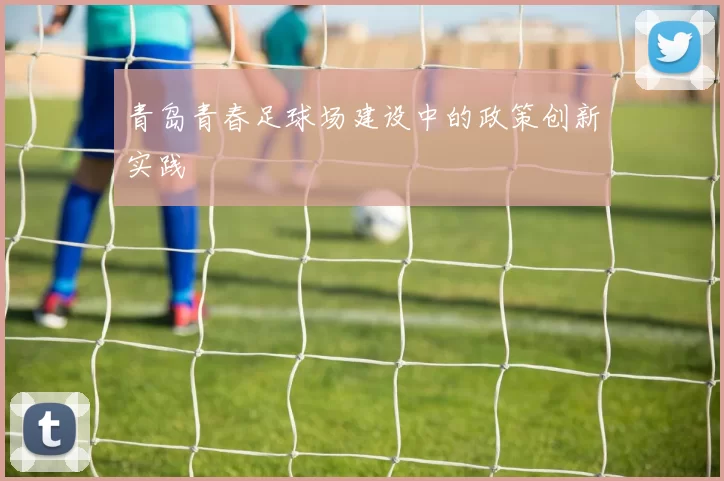 青岛青春足球场建设中的政策创新实践