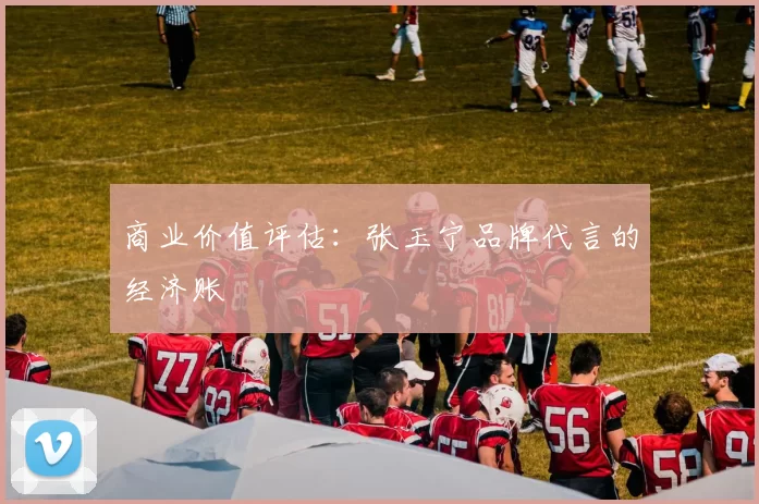 商业价值评估：张玉宁品牌代言的经济账