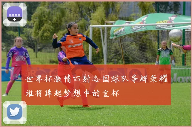 世界杯激情四射各国球队争辉荣耀谁将捧起梦想中的金杯