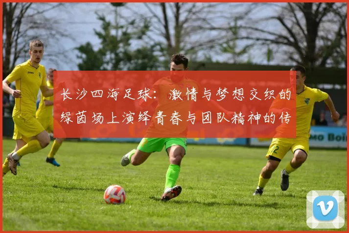 长沙四海足球：激情与梦想交织的绿茵场上演绎青春与团队精神的传奇故事