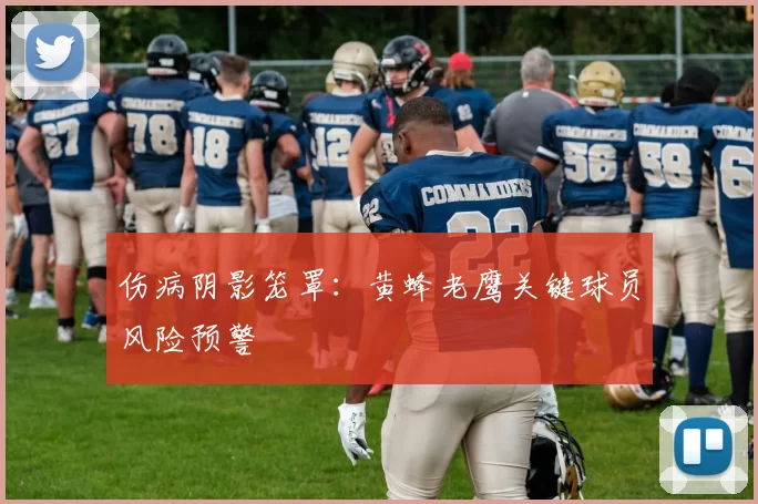 伤病阴影笼罩：黄蜂老鹰关键球员风险预警