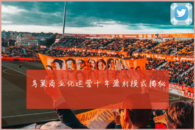 鸟巢商业化运营十年盈利模式揭秘